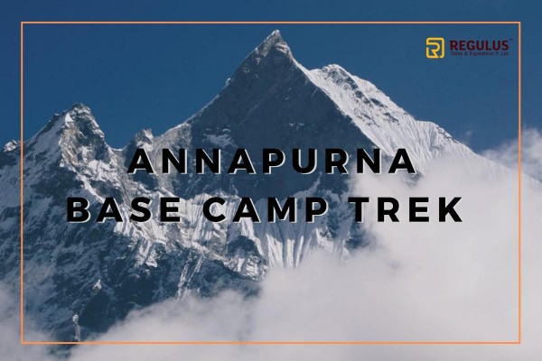 All You Need To Know About Annapurna Base Camp Trek